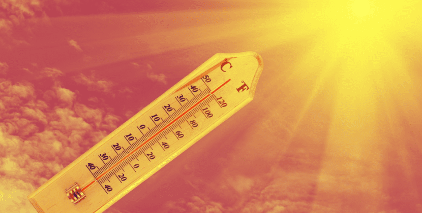 How to survive the UK heatwave cooped up in an office