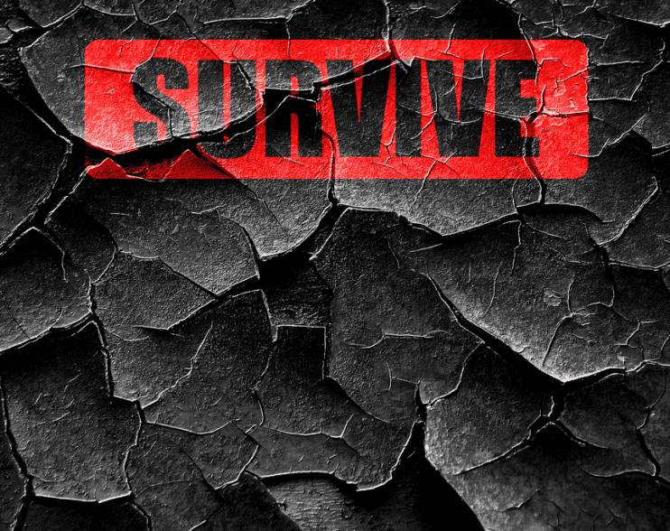 Seven Tips for Surviving the Freelance Life