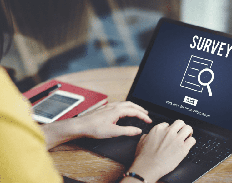 Survey Finds Freelancers in Demand By SMES