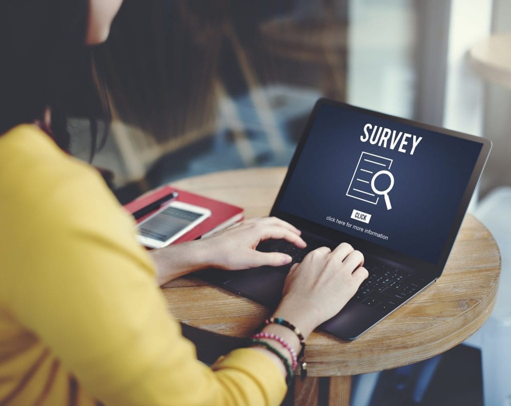 freelancer survey freelancer survey