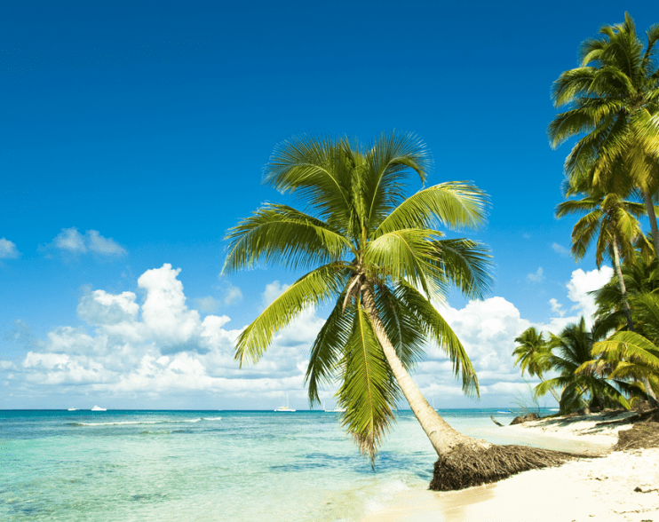 How Freelancers Can Take a Stress-Free Holiday