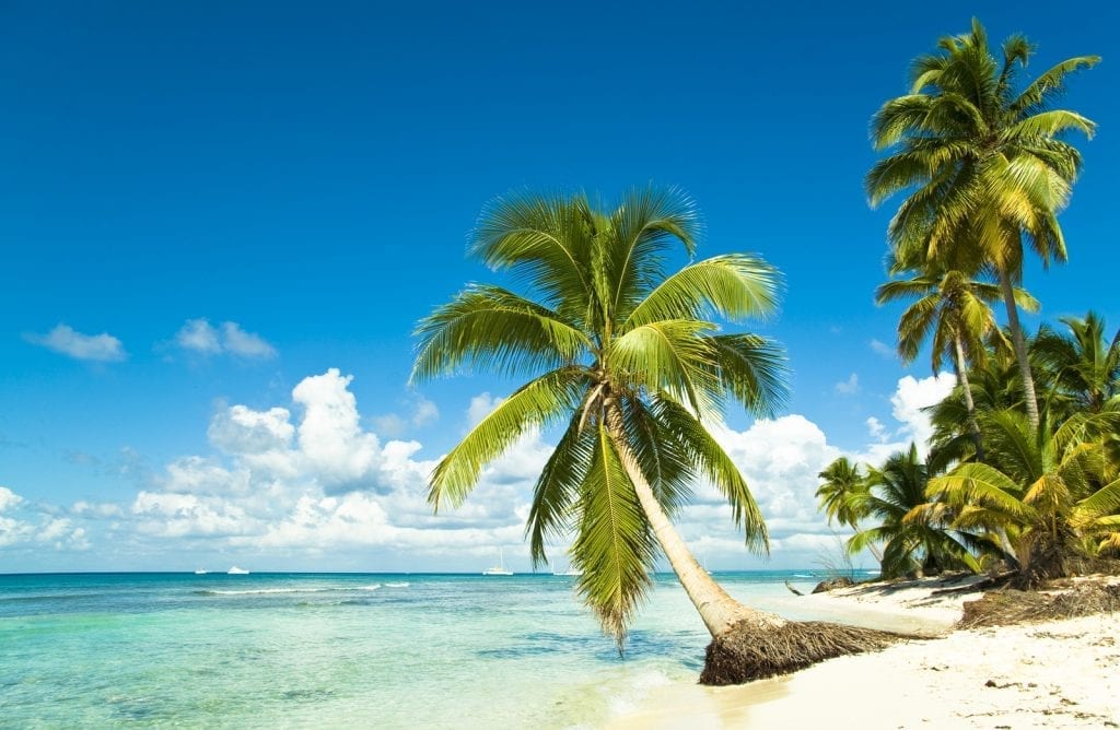 Stress-Free Holiday Stress-Free Holiday